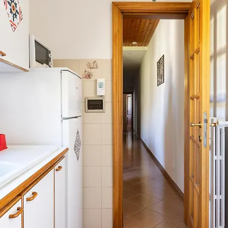 Ruote For Three Firenze
